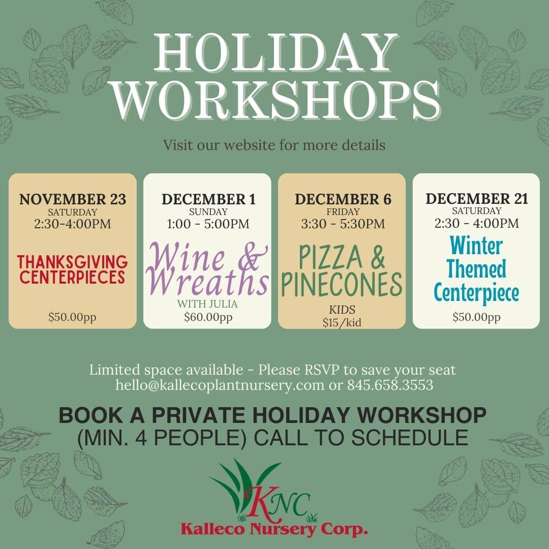 2024 KNC Holiday Workshop schedule (Instagram Post)