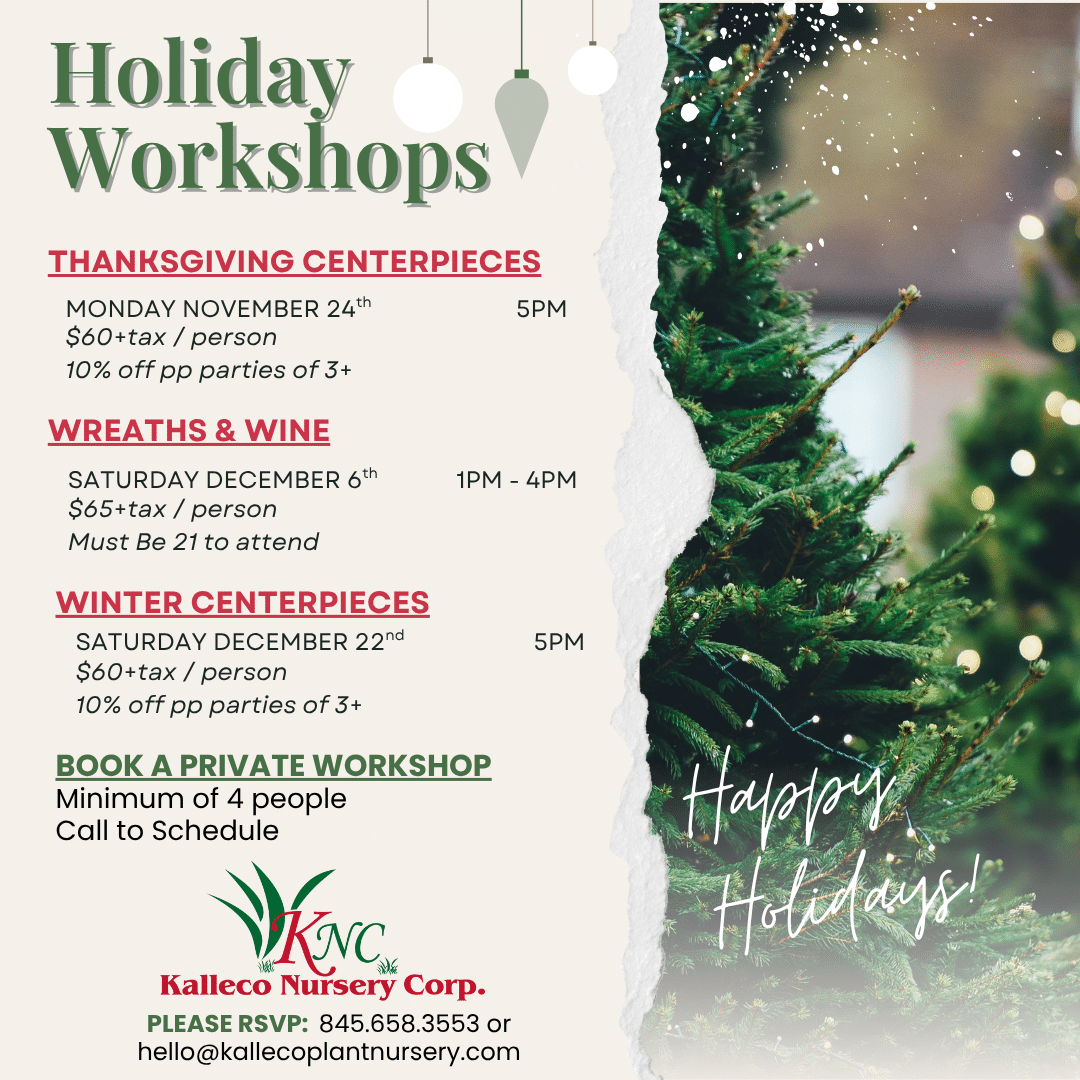 2025 KNC Holiday Workshop schedule (Instagram Post)