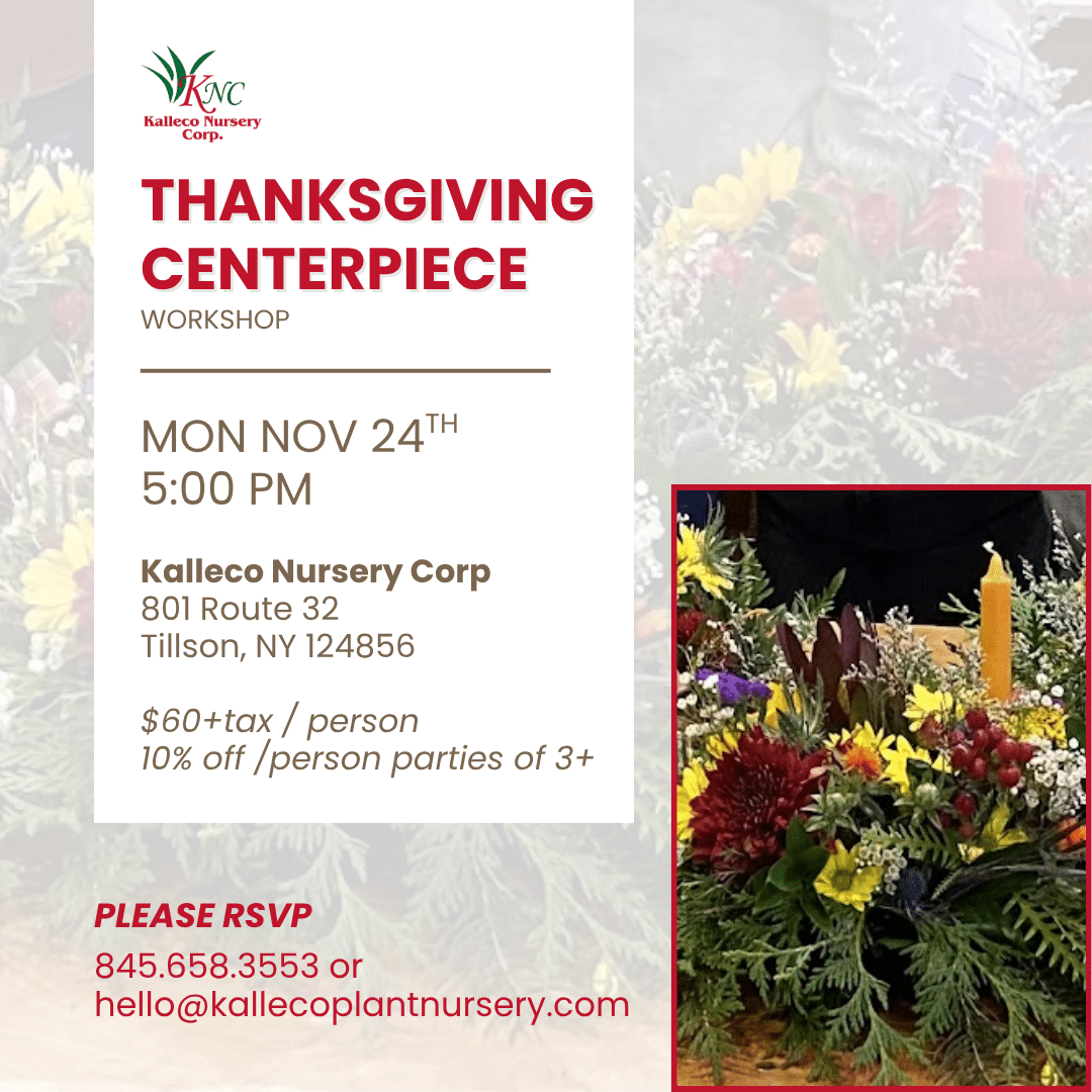 Thanksgivig Workshop Flyer 2025 KNC
