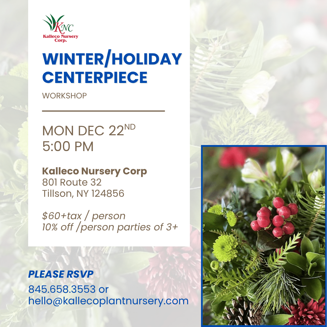 Winter Centerpiece workshop flyer knc 2025