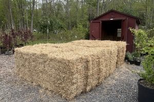 IMG_8226